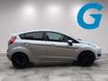 Ford Fiesta Titanium 1.0 EcoBoost Powerschift Grau - thumbnail 18