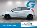 Ford Fiesta Titanium 1.0 EcoBoost Powerschift Grau - thumbnail 5