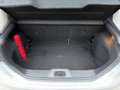Ford Fiesta Titanium 1.0 EcoBoost Powerschift Grau - thumbnail 20