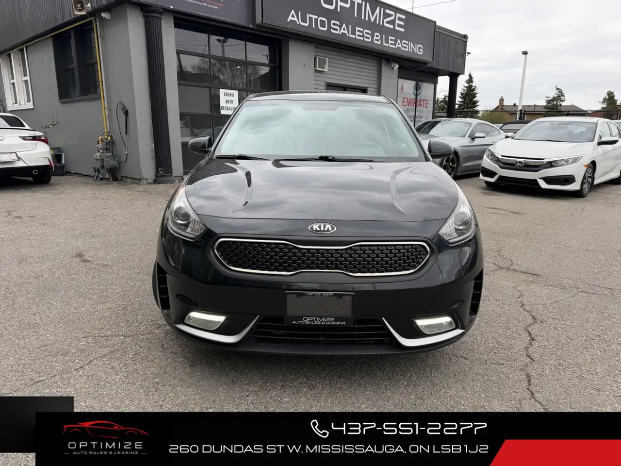 Kia Niro fotografie Kia Niro