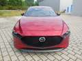 Mazda 3 2.5 e-SKYACTIV G 140PS HOMURA, Sitzheizung, MRCC, Rot - thumbnail 2
