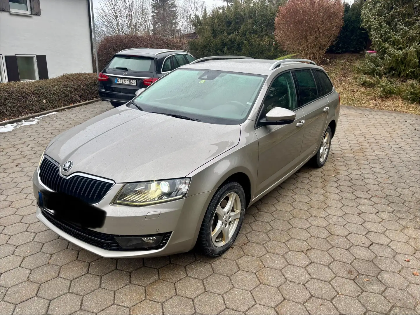 Skoda Octavia Octavia Combi 2.0 TDI (Green tec) 4x4Scout Béžová - 1