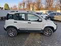 Fiat Panda Panda III 2012 4x4 1.3 mjt 16v Cross 4x4 80cv Blanc - thumbnail 5