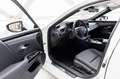 Lexus ES 300 300h F Sport Design | Stuurverwarming | Nieuw mode Bílá - thumbnail 12