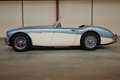 Austin-Healey 100 100/6 BN6 Blauw - thumbnail 1