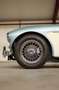 Austin-Healey 100 100/6 BN6 Blauw - thumbnail 10