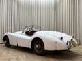 Jaguar XK XK120 SE OTS +Special Equipment+ Matching Numbers Weiß - thumbnail 6