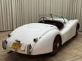 Jaguar XK XK120 SE OTS +Special Equipment+ Matching Numbers Weiß - thumbnail 32