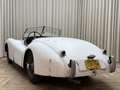 Jaguar XK XK120 SE OTS +Special Equipment+ Matching Numbers Weiß - thumbnail 7