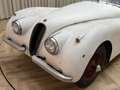 Jaguar XK XK120 SE OTS +Special Equipment+ Matching Numbers Weiß - thumbnail 24