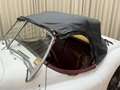 Jaguar XK XK120 SE OTS +Special Equipment+ Matching Numbers Weiß - thumbnail 41
