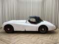Jaguar XK XK120 SE OTS +Special Equipment+ Matching Numbers Weiß - thumbnail 40