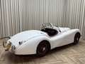Jaguar XK XK120 SE OTS +Special Equipment+ Matching Numbers Weiß - thumbnail 31