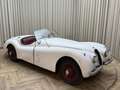 Jaguar XK XK120 SE OTS +Special Equipment+ Matching Numbers Weiß - thumbnail 29