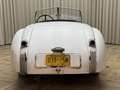 Jaguar XK XK120 SE OTS +Special Equipment+ Matching Numbers Weiß - thumbnail 16