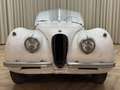 Jaguar XK XK120 SE OTS +Special Equipment+ Matching Numbers Weiß - thumbnail 15