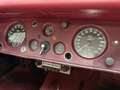 Jaguar XK XK120 SE OTS +Special Equipment+ Matching Numbers Weiß - thumbnail 10