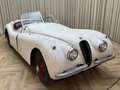 Jaguar XK XK120 SE OTS +Special Equipment+ Matching Numbers Weiß - thumbnail 28