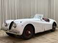 Jaguar XK XK120 SE OTS +Special Equipment+ Matching Numbers Weiß - thumbnail 4