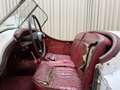Jaguar XK XK120 SE OTS +Special Equipment+ Matching Numbers Weiß - thumbnail 47