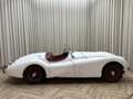 Jaguar XK XK120 SE OTS +Special Equipment+ Matching Numbers Weiß - thumbnail 30