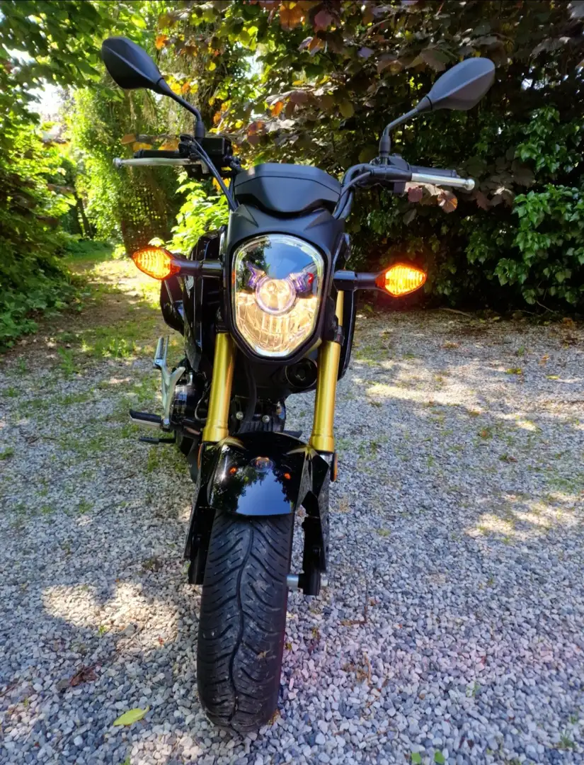 Honda MSX 125 Noir - 2