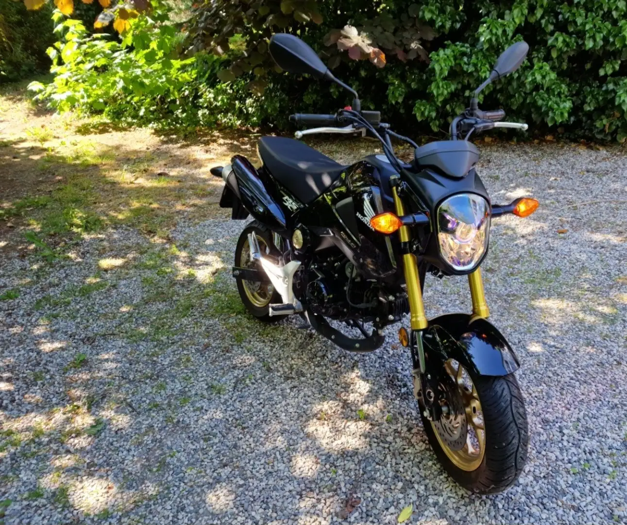 Honda MSX 125 Noir - 1