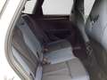 CUPRA Terramar 1.5 TSI DSG EDEGE-PAKET KAMERA ACC SITZ Blanc - thumbnail 6