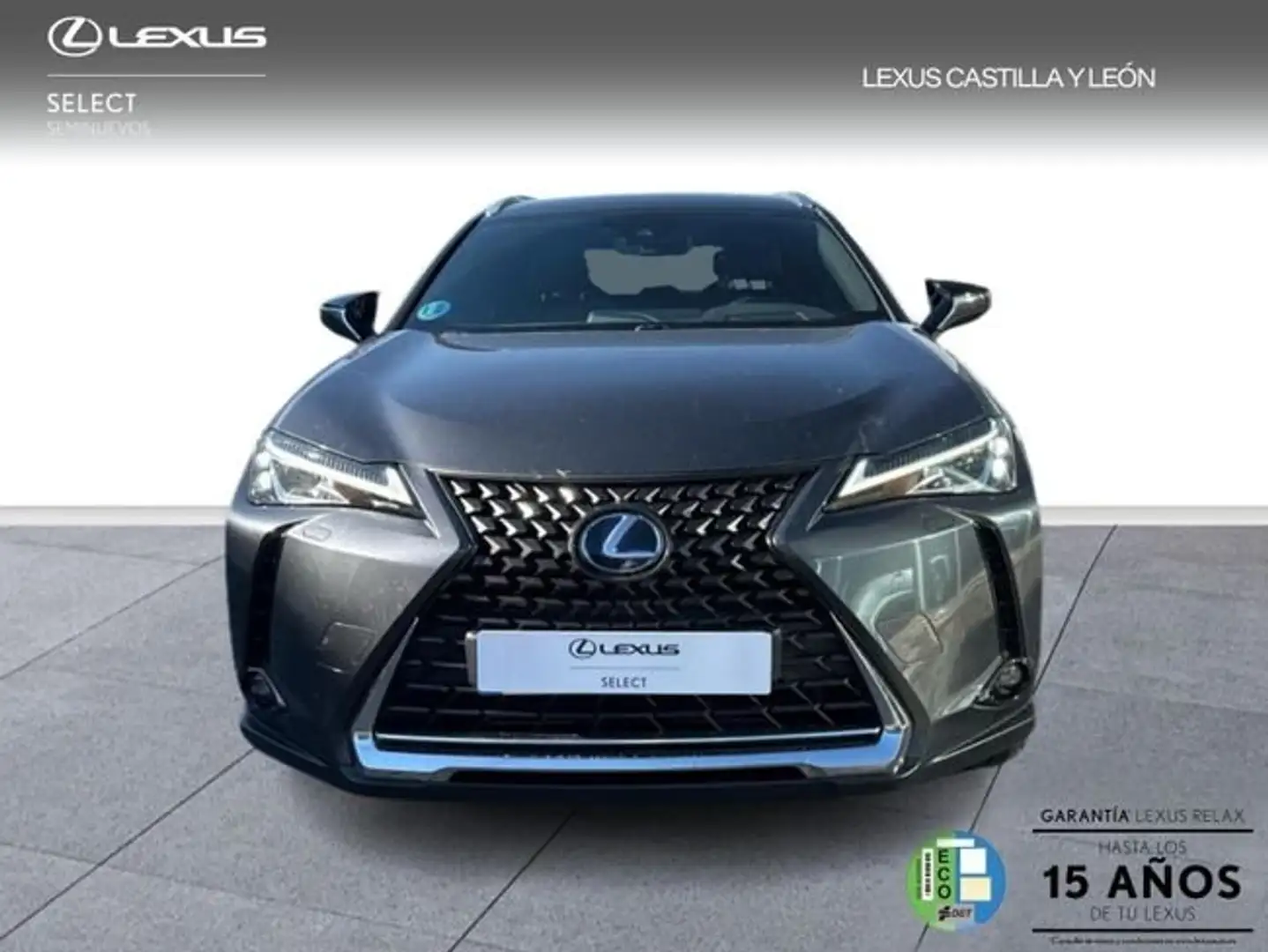 Lexus UX 250h Business City 2WD Gris - 2