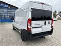 Fiat Ducato KASTENWAGEN 35 L2H2 140MT Blanc - thumbnail 8