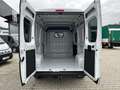 Fiat Ducato KASTENWAGEN 35 L2H2 140MT Blanc - thumbnail 5