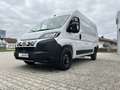 Fiat Ducato KASTENWAGEN 35 L2H2 140MT Blanc - thumbnail 12