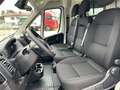 Fiat Ducato KASTENWAGEN 35 L2H2 140MT Blanc - thumbnail 13