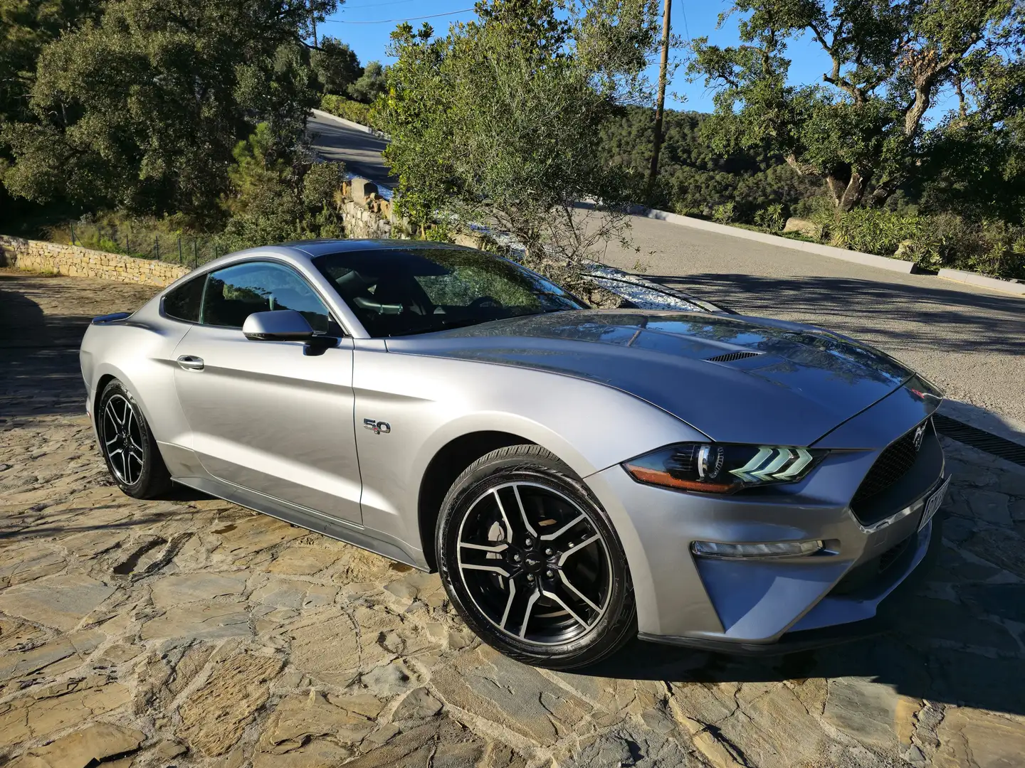 Ford Mustang Mustang Fastback 5.0 Ti-VCT GT Aut. GT Silver - 1