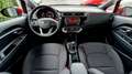 Kia Rio Titan Limidet Rot - thumbnail 12