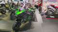 Kawasaki Ninja H2 SX SE #TOURER Grün - thumbnail 1