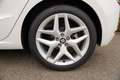 SEAT Ibiza FR 1.0L  | Alcantara, Beats Sound, Panoramadach Weiß - thumbnail 14