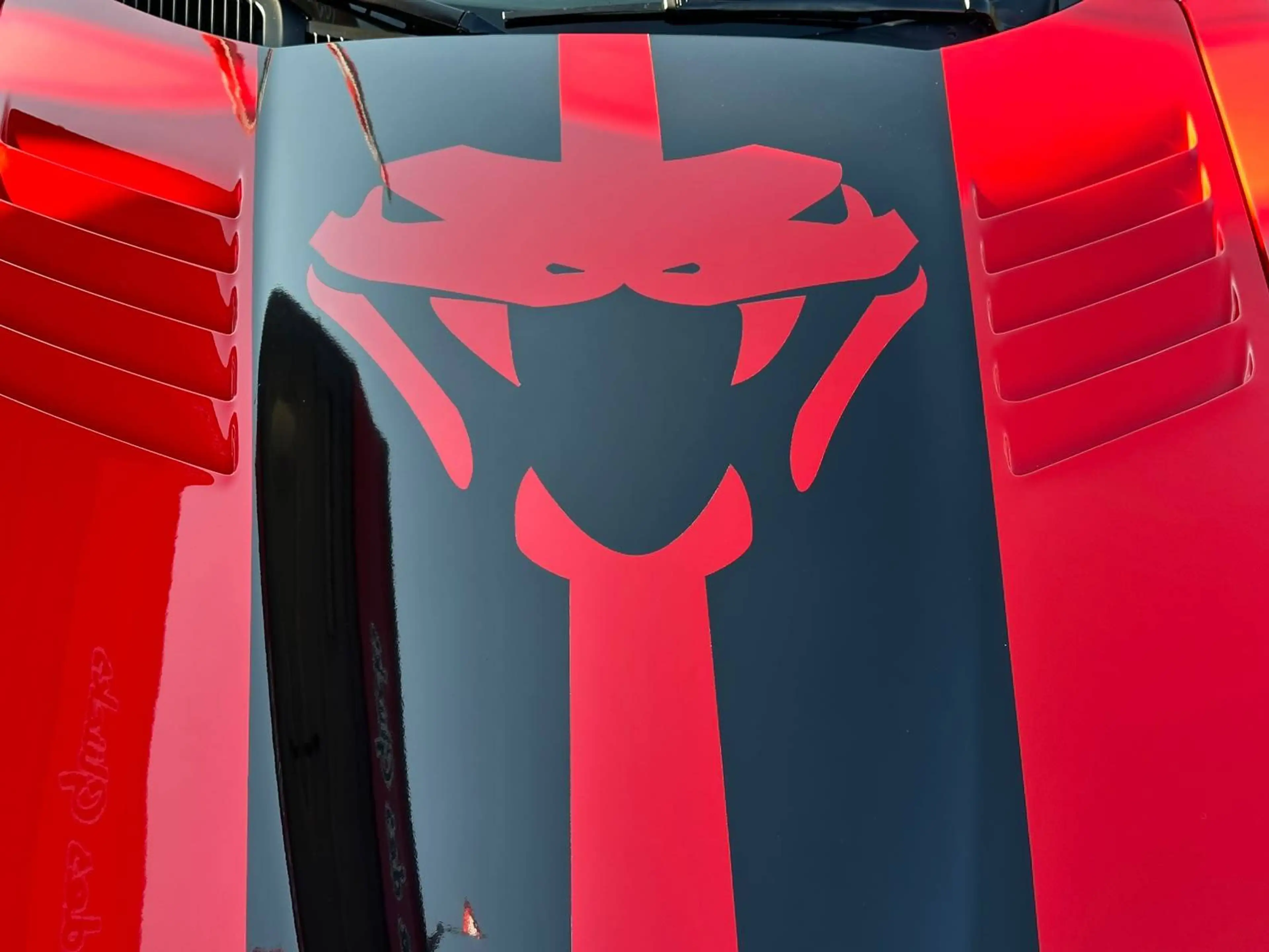 Dodge Viper Cabrio 8,3L SRT10 — photo 10