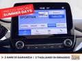 Ford Fiesta 5p 1.1 titanium 75cv Grigio - thumbnail 24