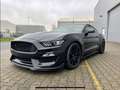 Ford Mustang Shelby GT 350 - thumbnail 1