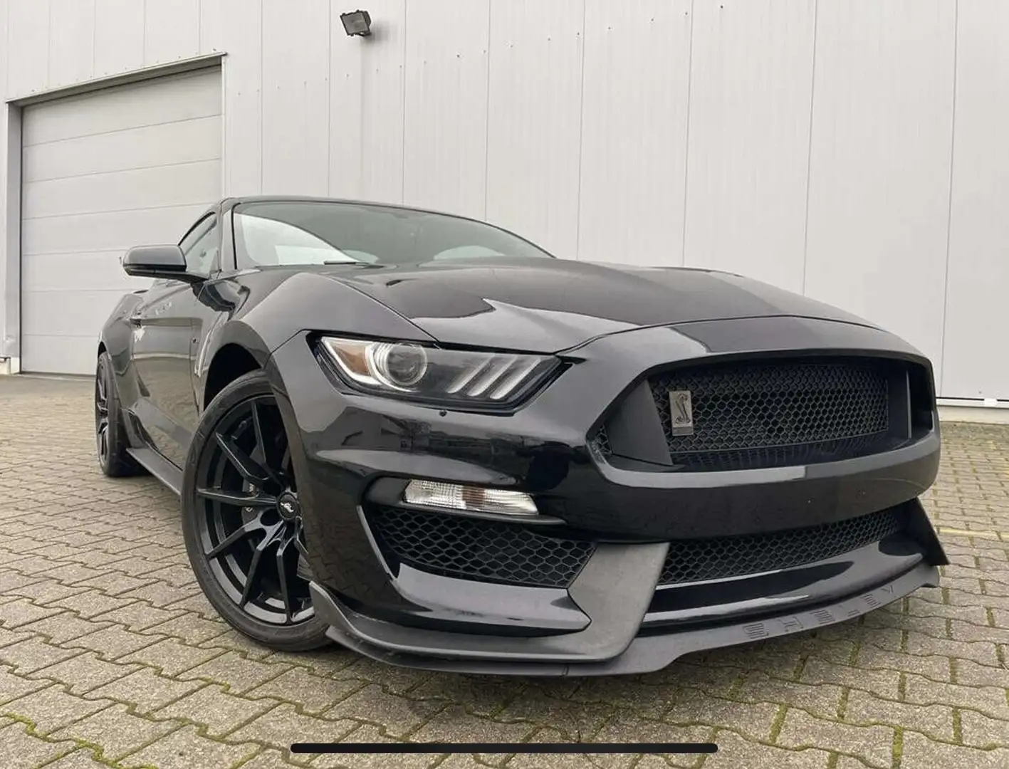 Ford Mustang Shelby GT 350 - 2