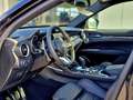 Alfa Romeo Stelvio Quadrifoglio 2.9 V6 Bi-T ASS SSD 21" Alarm - thumbnail 6