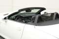 Mercedes-Benz SLK 200 CarbonLOOK Edition AIRSCARF CRUISE Wit - thumbnail 7