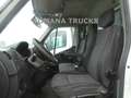 Renault Master 145CV FURGONATURA IN LEGA 8 EUROPALLET Blanc - thumbnail 10