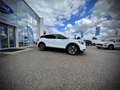 Ford Explorer Elektro 77kWh Select 286PS LEASING AKTION Weiß - thumbnail 6