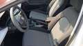 SEAT Ibiza Reference 1.0 TSI 95PS Weiß - thumbnail 8