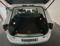 Volkswagen Touareg V6 TDI 4Motion Executive Edition AHK Bianco - thumbnail 19