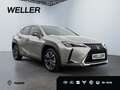 Lexus UX 250h Style Edition *Bi-LED*ACC*CAM*SHZ*CarPlay* Silber - thumbnail 4