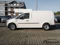 Volkswagen Caddy Nfz 1.0 TSI OPF Kasten *AHK*KLIMA*PDC*SHZ* Bianco - thumbnail 5