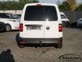 Volkswagen Caddy Nfz 1.0 TSI OPF Kasten *AHK*KLIMA*PDC*SHZ* Bianco - thumbnail 7